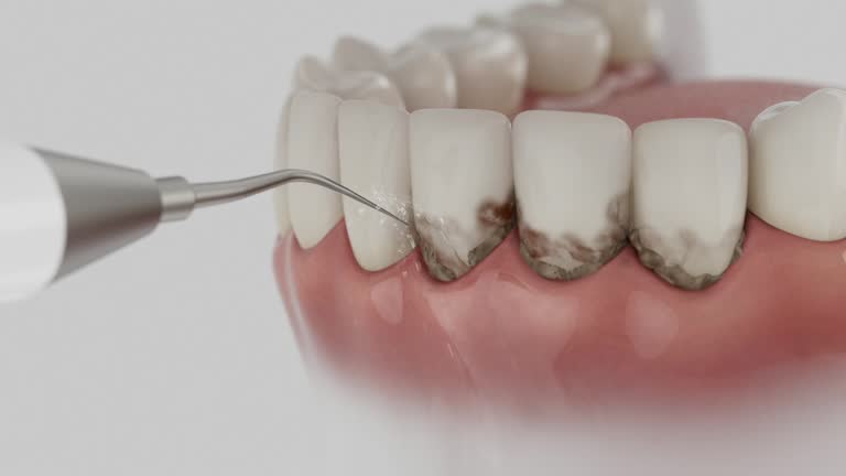 Reliable Dental contractor in Enderlin, ND by Dentist Open Now